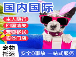 锦州湾航空快递国际宠物托运 【国